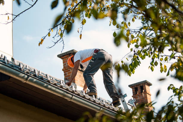 Roof Gutter Cleaning in Clarcona, FL