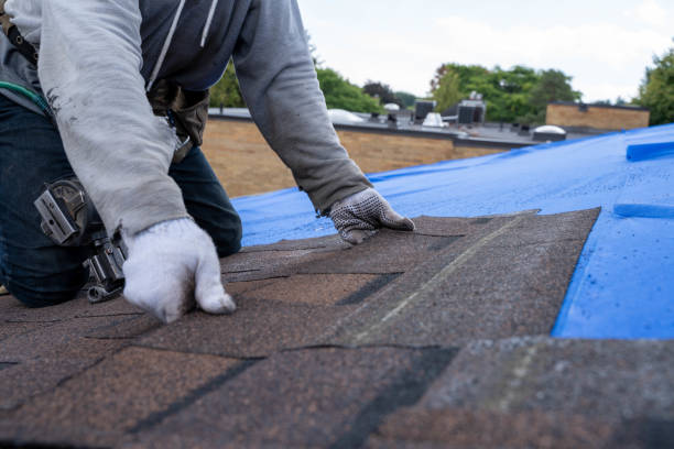 Quick and Trustworthy Emergency Roof Repair Services in Clarcona, FL